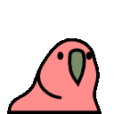 Contact Person